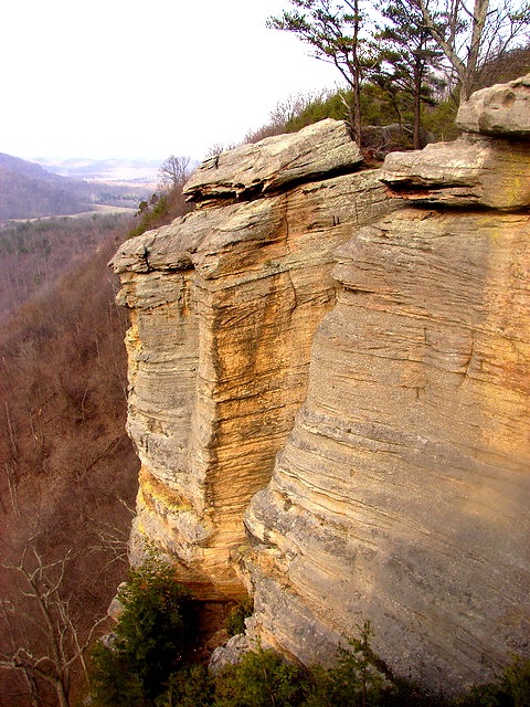 Berea Forest Hiking